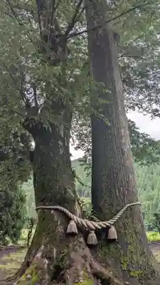 八坂神社(福井県)