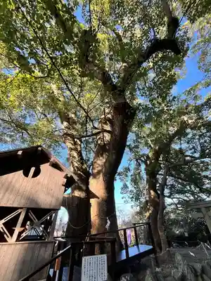 藤白神社(和歌山県)