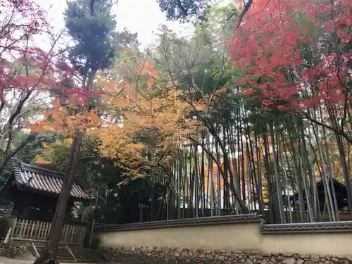 禅昌寺の山門・神門