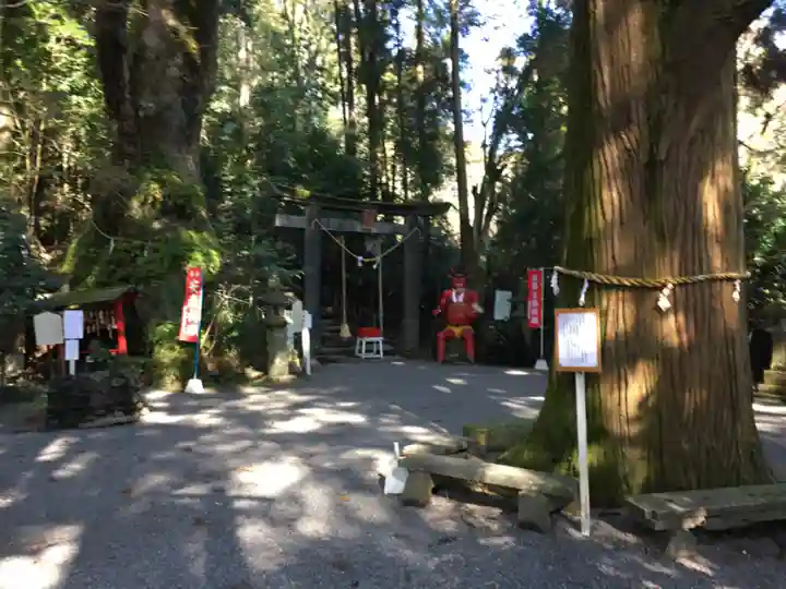 東霧島神社の自然