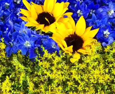 真言宗　善通寺派　薬王寺(香川県)