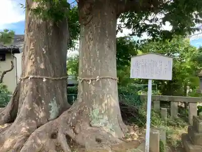 春日神社(東京都)