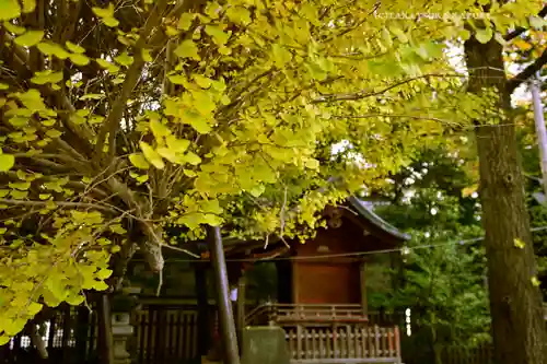 秩父神社(埼玉県)