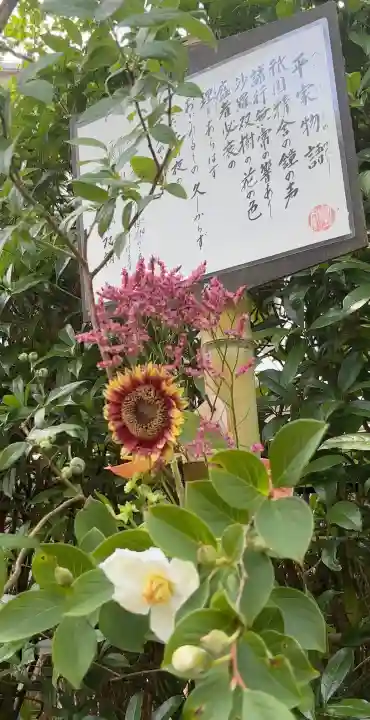 明月院(神奈川県)