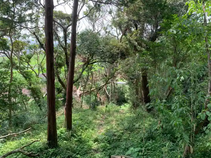 諏訪神社の周辺