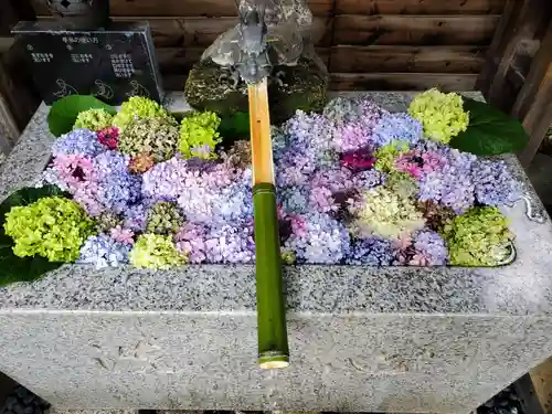 鎮守氷川神社の手水