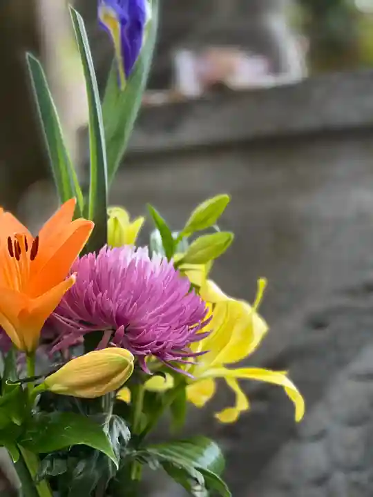 須山浅間神社(静岡県)
