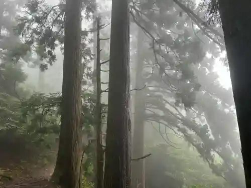 愛宕神社(京都府)