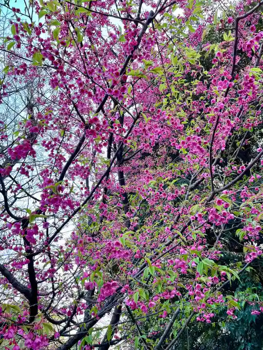 長仙寺(東京都)