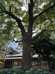 王子神社(東京都)