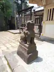 高輪神社の狛犬