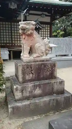 素盞嗚尊神社（江坂神社）の狛犬