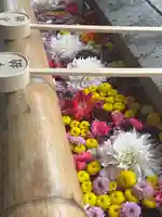 群馬県護国神社(群馬県)