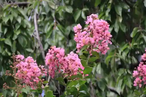 開成山大神宮の自然