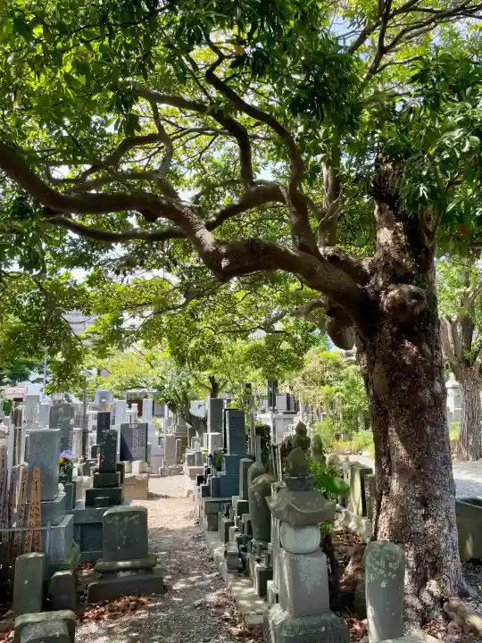 愛染院(千葉県)