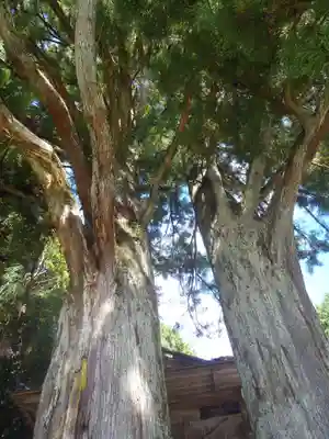 八幡神社(愛知県)