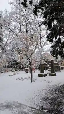 新琴似神社(北海道)