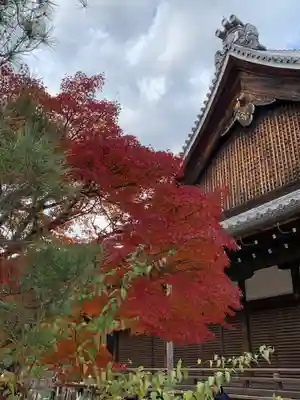 天龍寺(京都府)