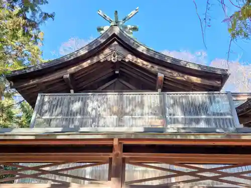 小杉神社(神奈川県)