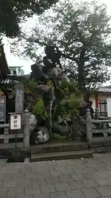神田神社（神田明神）(東京都)