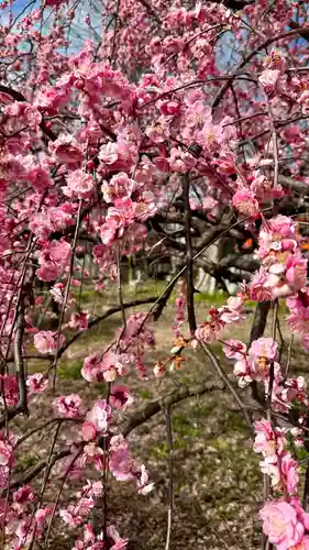 屯倉神社(大阪府)