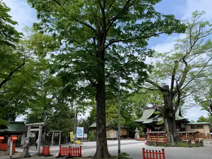 上野総社神社(群馬県)