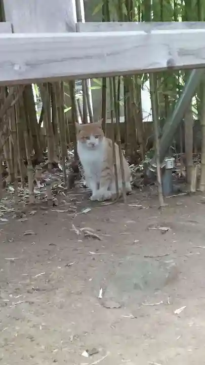 居木神社(東京都)