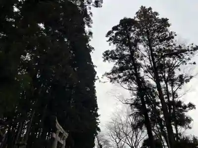 大宮温泉神社(栃木県)