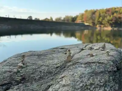龍泉寺(岡山県)