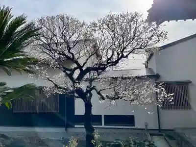 福泉寺(神奈川県)