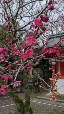 北野天満宮(京都府)