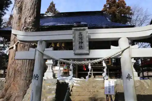 高司神社〜むすびの神の鎮まる社〜の鳥居