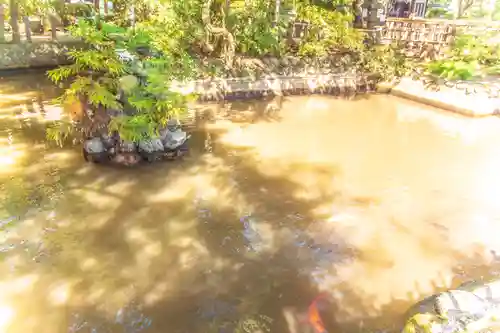 日高神社(岩手県)