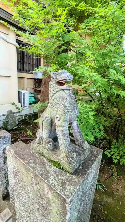 須賀神社の狛犬
