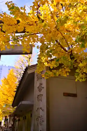 銀杏岡八幡神社(東京都)