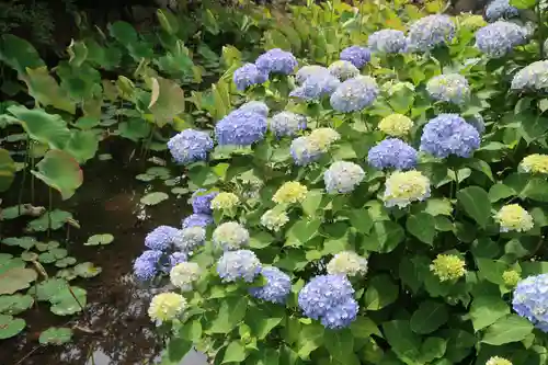 朝田寺(三重県)