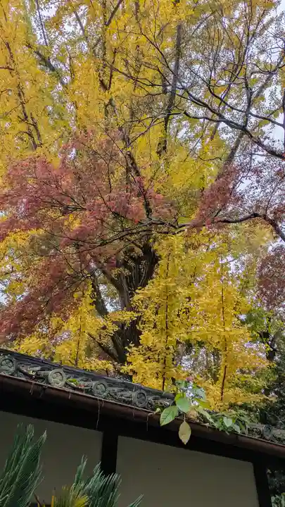 観音寺(山崎聖天)(京都府)