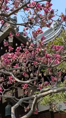 光徳寺(大阪府)