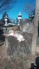 盛善寺の動物