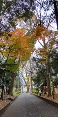 五社神社(神奈川県)