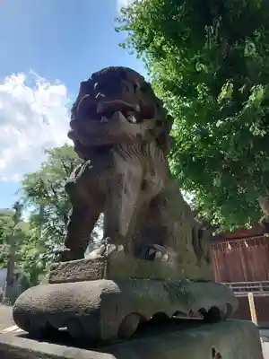 滝野川八幡神社の狛犬