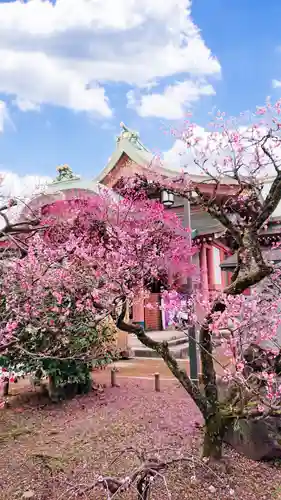 北野天満宮の庭園