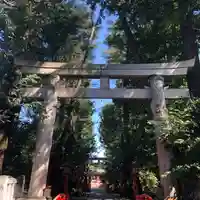 馬橋稲荷神社の鳥居