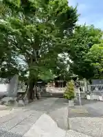 滝野川八幡神社(東京都)