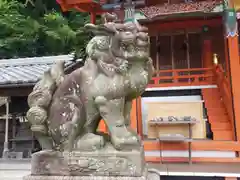 檜尾神社の狛犬