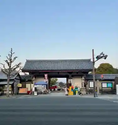 東寺（教王護国寺）(京都府)