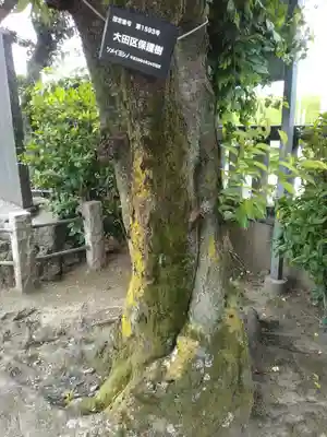 東八幡神社(東京都)