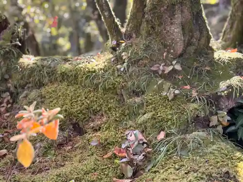 唐招提寺(奈良県)