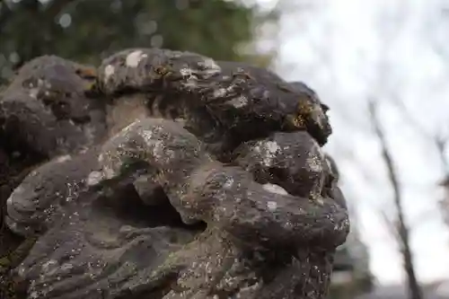 熊野神社の狛犬