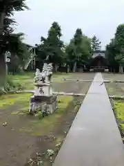 清水神社の狛犬